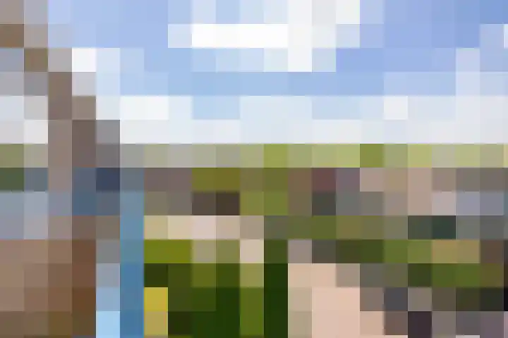 Dr Dassenstraat 45 Hoogeveen thumbnail 25