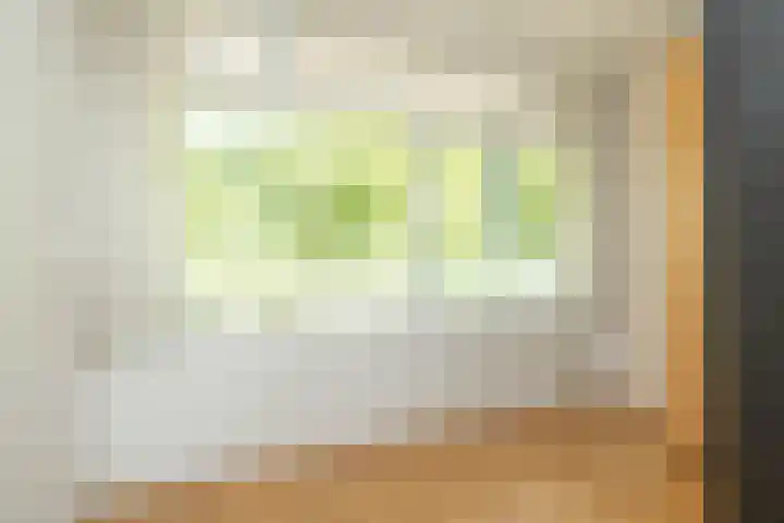 Dr Dassenstraat 45 Hoogeveen thumbnail 27