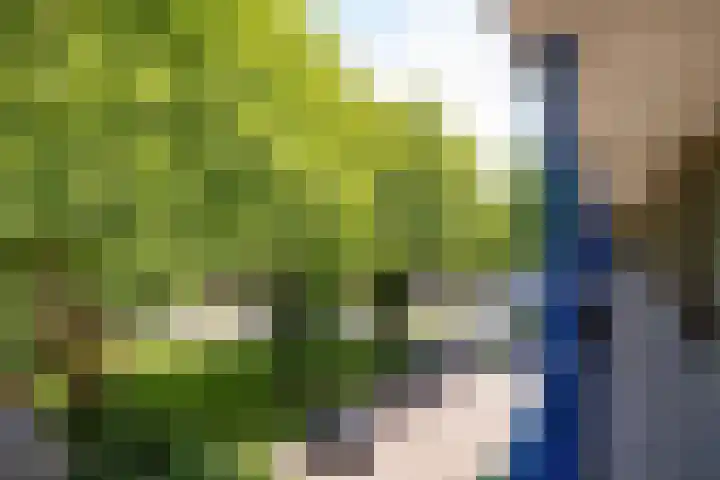 Dr Dassenstraat 45 Hoogeveen thumbnail 34