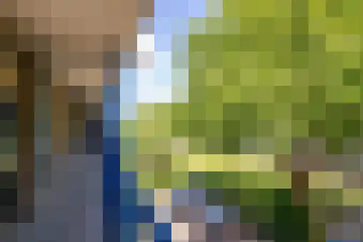 Dr Dassenstraat 45 Hoogeveen thumbnail 35