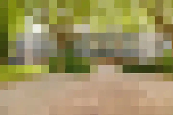 Dr Dassenstraat 45 Hoogeveen thumbnail 41