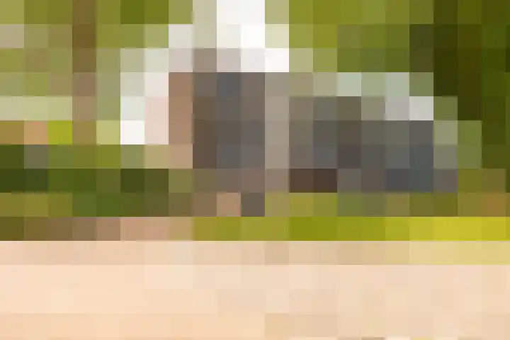 Dr Dassenstraat 45 Hoogeveen thumbnail 42