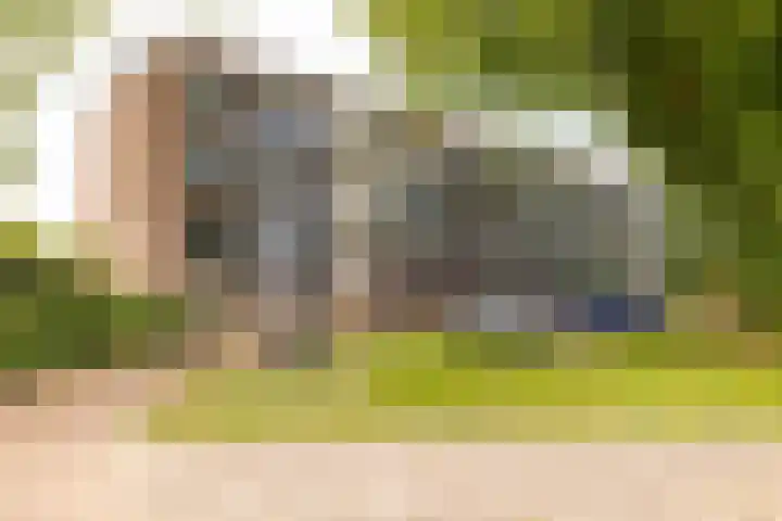 Dr Dassenstraat 45 Hoogeveen thumbnail 47