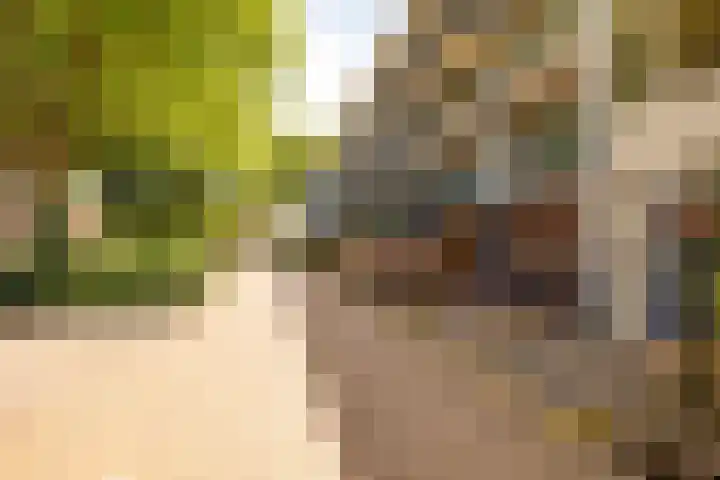 Dr Dassenstraat 45 Hoogeveen thumbnail 50