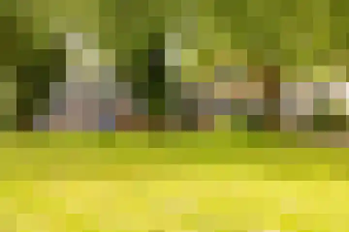 Dr Dassenstraat 45 Hoogeveen thumbnail 6