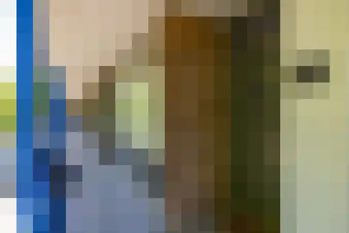 Dr Dassenstraat 45 Hoogeveen thumbnail 8