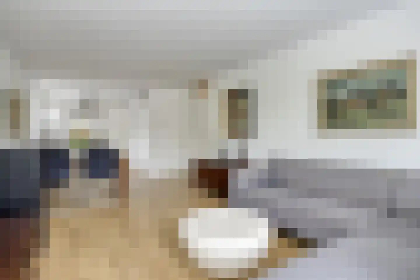 Dr.de Brouwerlaan 101 Boxtel thumbnail 13