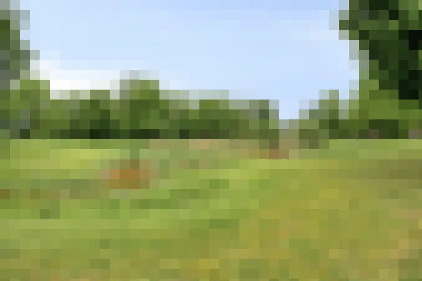 Dr.de Brouwerlaan 101 Boxtel thumbnail 30