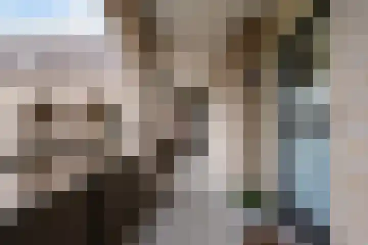 Dr.de Brouwerlaan 115 Boxtel thumbnail 10
