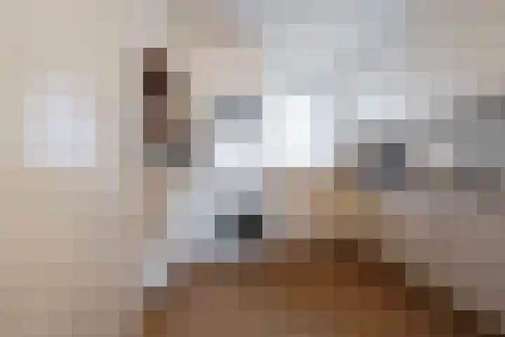 Dr.de Brouwerlaan 115 Boxtel thumbnail 24