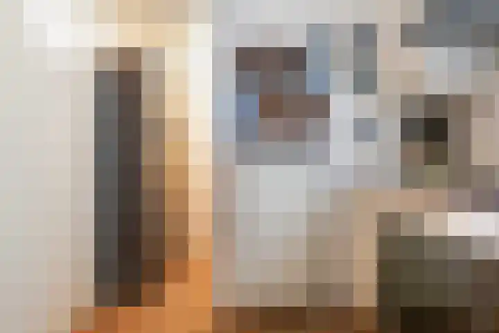 Dr.de Brouwerlaan 115 Boxtel thumbnail 25