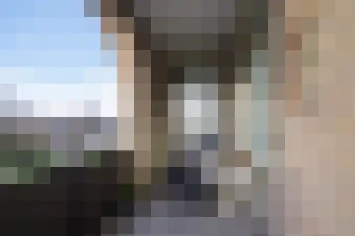 Dr.de Brouwerlaan 115 Boxtel thumbnail 28
