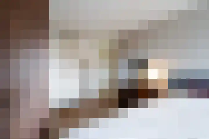 Dr.de Brouwerlaan 115 Boxtel thumbnail 35