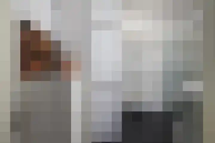 Dr.de Brouwerlaan 115 Boxtel thumbnail 39