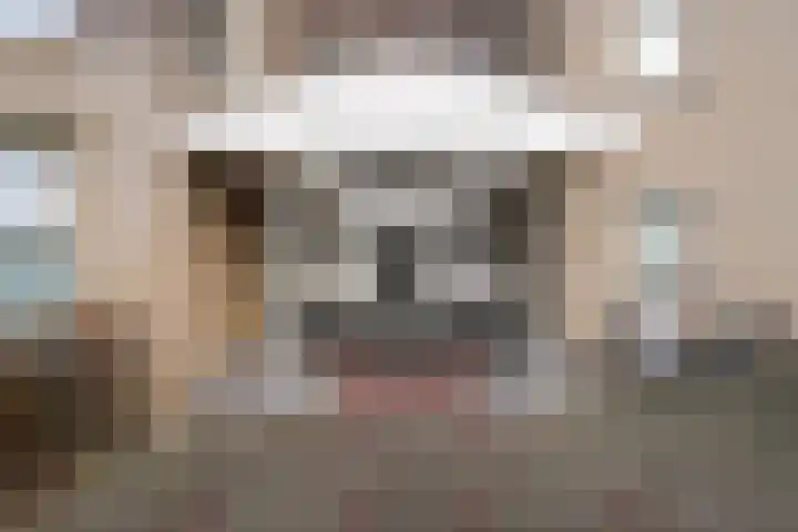 Dr.de Brouwerlaan 115 Boxtel thumbnail 4
