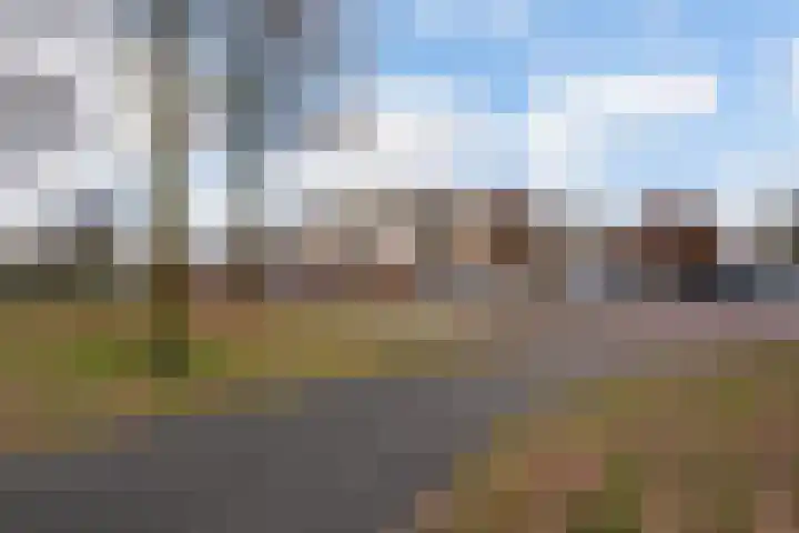 Dr.de Brouwerlaan 115 Boxtel thumbnail 50