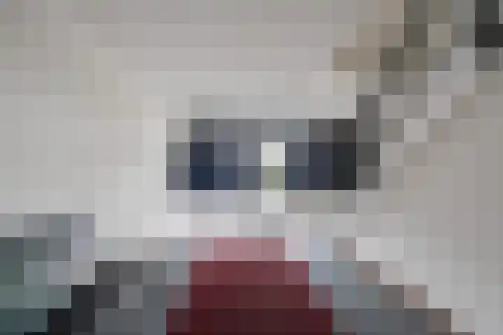 Dr.de Brouwerlaan 115 Boxtel thumbnail 7