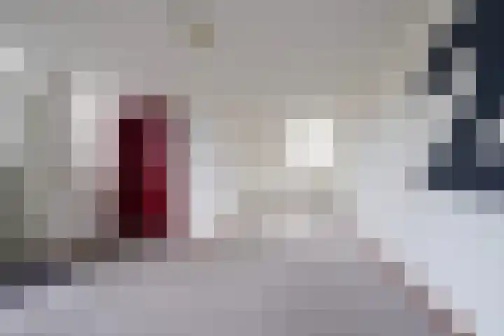 Dr.de Brouwerlaan 115 Boxtel thumbnail 8