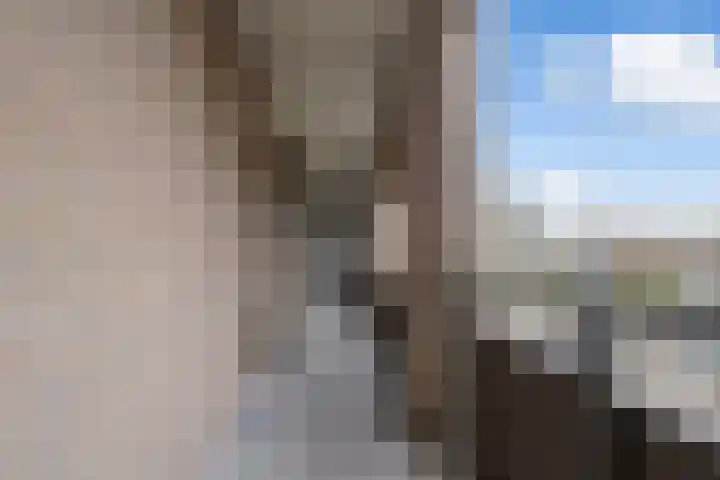 Dr.de Brouwerlaan 115 Boxtel thumbnail 9