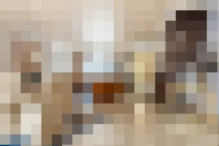 Dr.de Brouwerlaan 29 Boxtel thumbnail 10