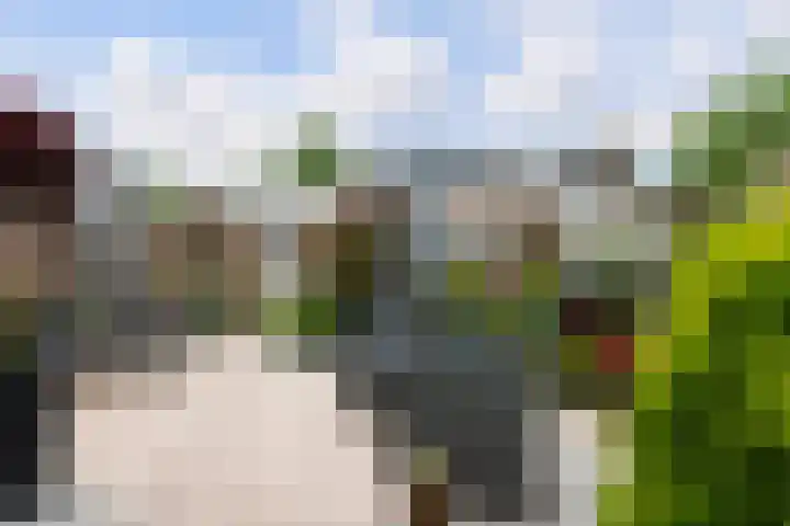 Dr.de Brouwerlaan 29 Boxtel thumbnail 21