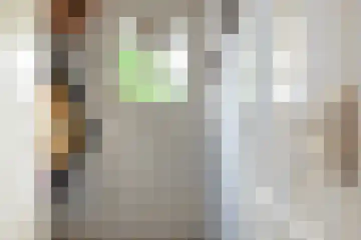 Dr.de Brouwerlaan 29 Boxtel thumbnail 4