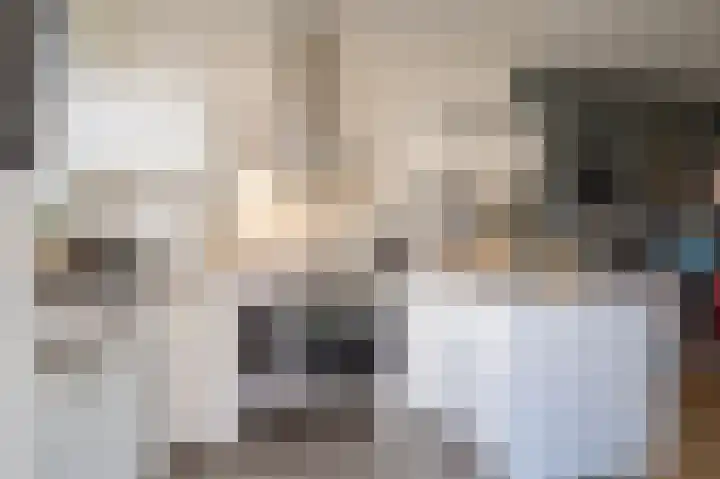 Dr.de Brouwerlaan 3 Boxtel thumbnail 10