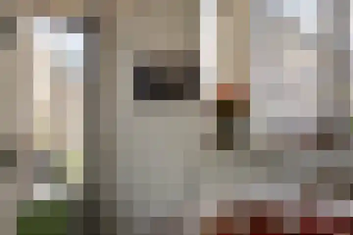 Dr.de Brouwerlaan 3 Boxtel thumbnail 11