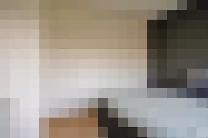 Dr.de Brouwerlaan 3 Boxtel thumbnail 16
