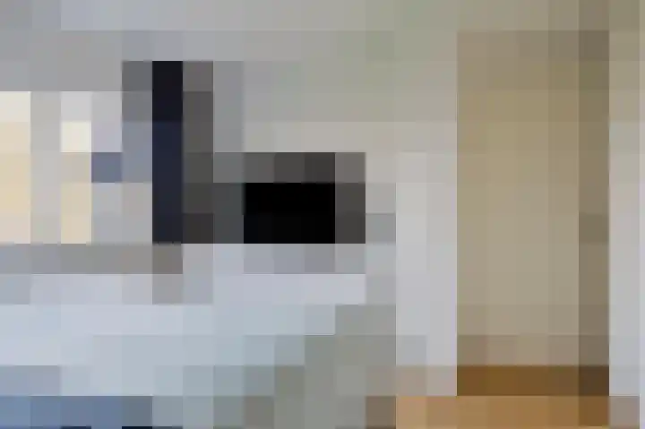 Dr.de Brouwerlaan 3 Boxtel thumbnail 17