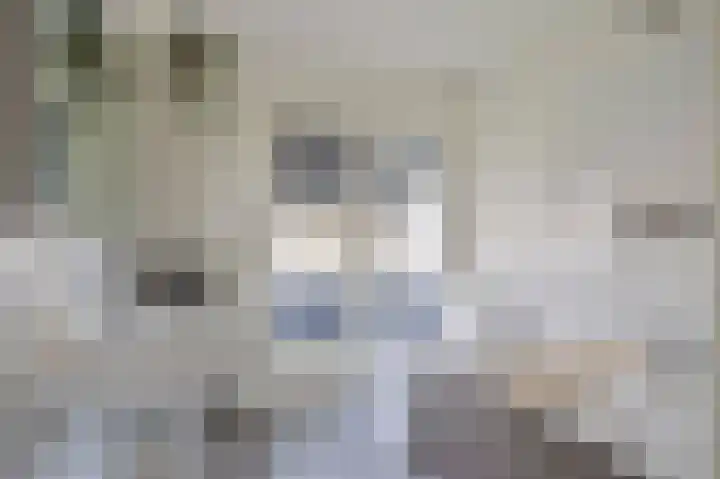 Dr.de Brouwerlaan 3 Boxtel thumbnail 18