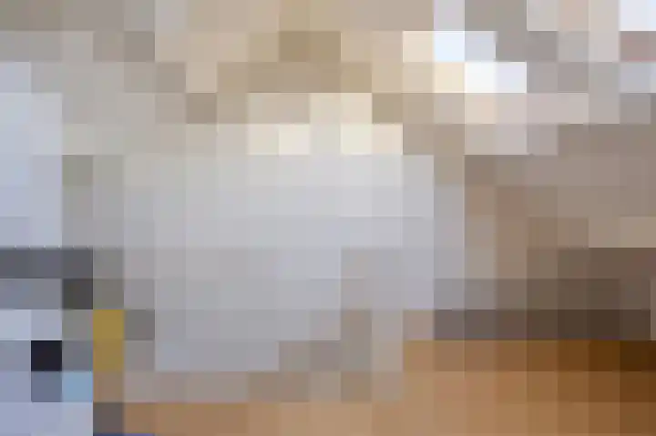 Dr.de Brouwerlaan 3 Boxtel thumbnail 21