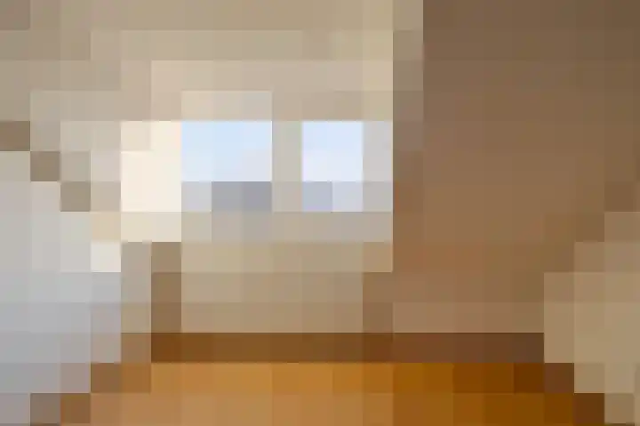 Dr.de Brouwerlaan 3 Boxtel thumbnail 23