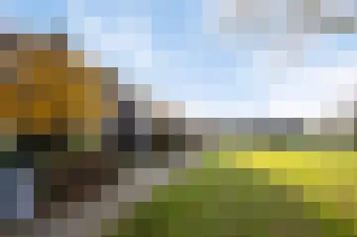 Dr.de Brouwerlaan 3 Boxtel thumbnail 31