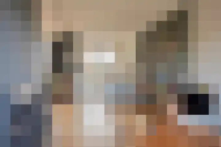 Dr.de Brouwerlaan 3 Boxtel thumbnail 8