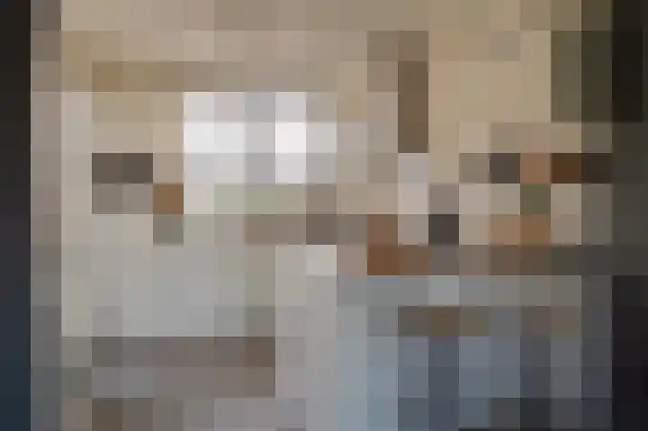 Dr.de Brouwerlaan 3 Boxtel thumbnail 9