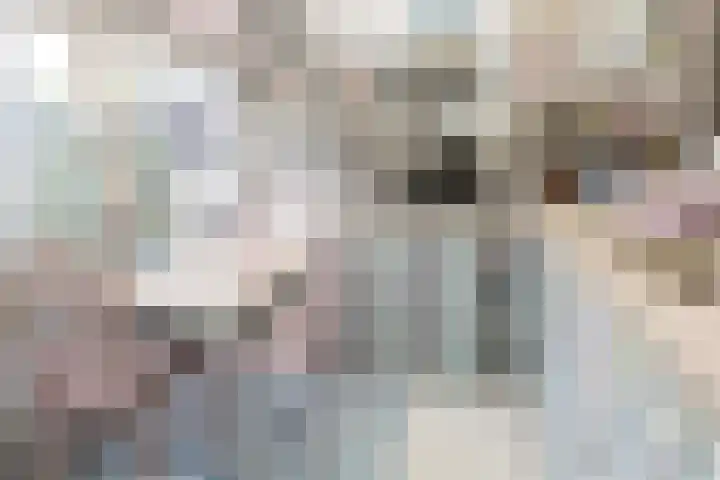 Dr.de Brouwerlaan 7 Boxtel thumbnail 11