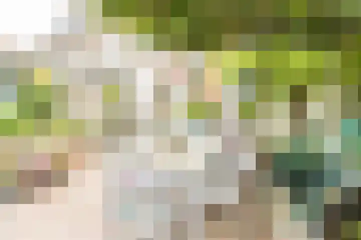 Dr.de Brouwerlaan 7 Boxtel thumbnail 21