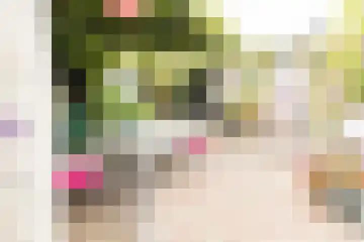 Dr.de Brouwerlaan 7 Boxtel thumbnail 22