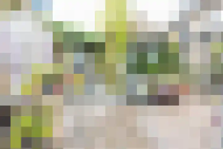 Dr.de Brouwerlaan 7 Boxtel thumbnail 23
