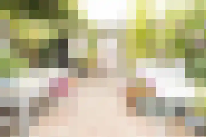 Dr.de Brouwerlaan 7 Boxtel thumbnail 24