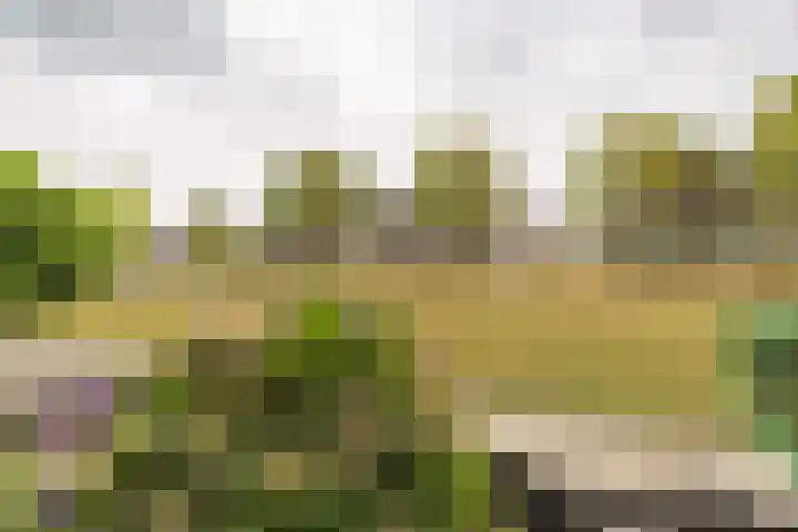 Dr.de Brouwerlaan 7 Boxtel thumbnail 25