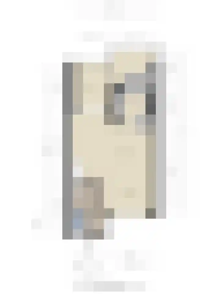 Dr.de Brouwerlaan 7 Boxtel thumbnail 26
