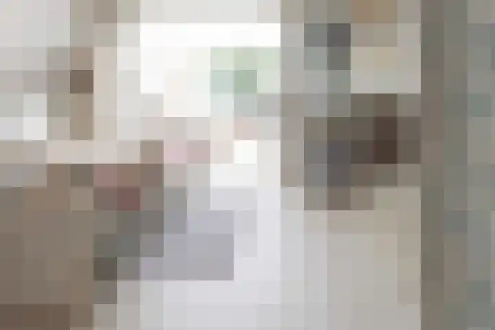 Dr.de Brouwerlaan 7 Boxtel thumbnail 7