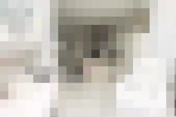 Dr.de Brouwerlaan 7 Boxtel thumbnail 8