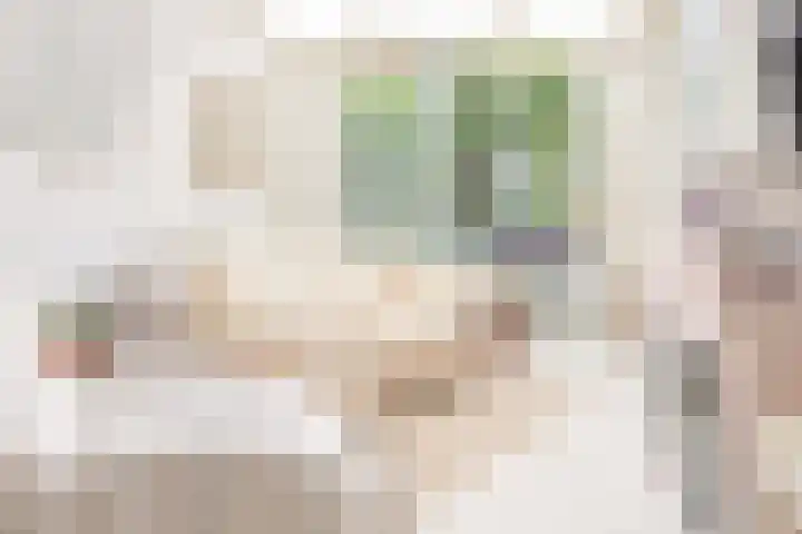 Dr.de Brouwerlaan 7 Boxtel thumbnail 9