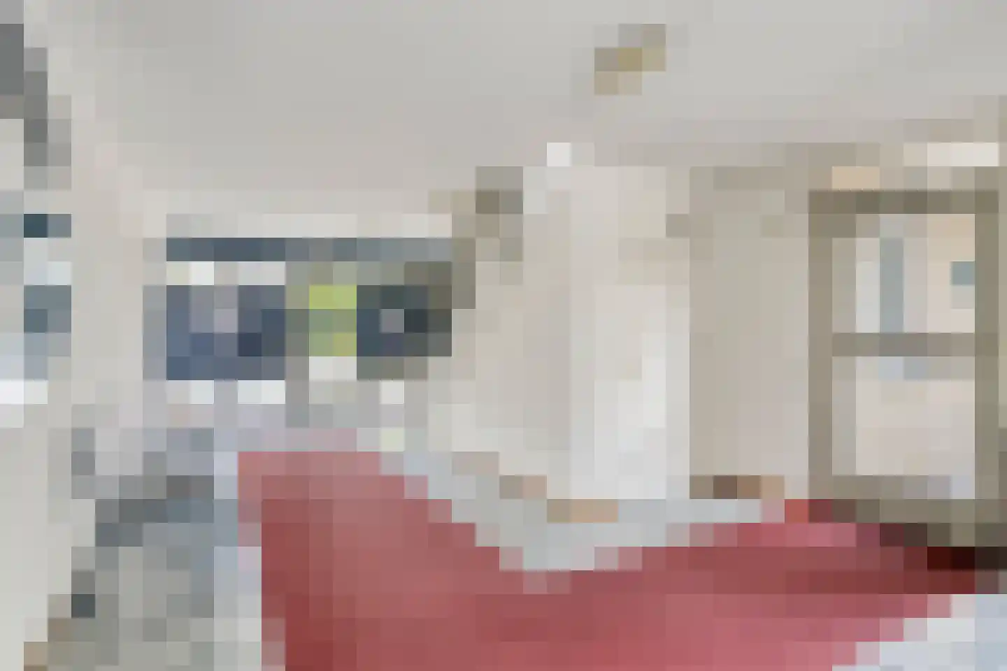 Dr.de Brouwerlaan 79 Boxtel thumbnail 14