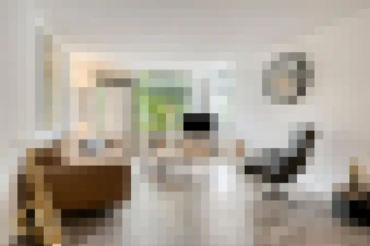 Dr.de Brouwerlaan 79 Boxtel thumbnail 18