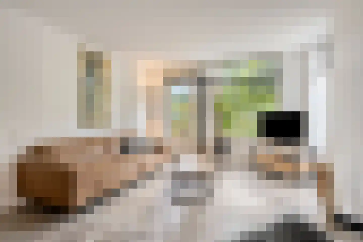 Dr.de Brouwerlaan 79 Boxtel thumbnail 19