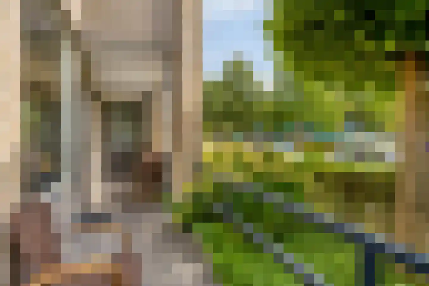 Dr.de Brouwerlaan 79 Boxtel thumbnail 31